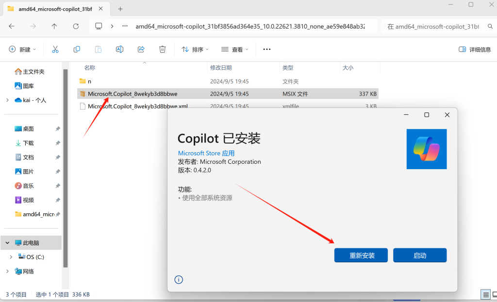 24年9月最新微软copilot国内Windows11强制开启使用教程方法插图3